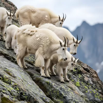 Imagen PNG para descargar